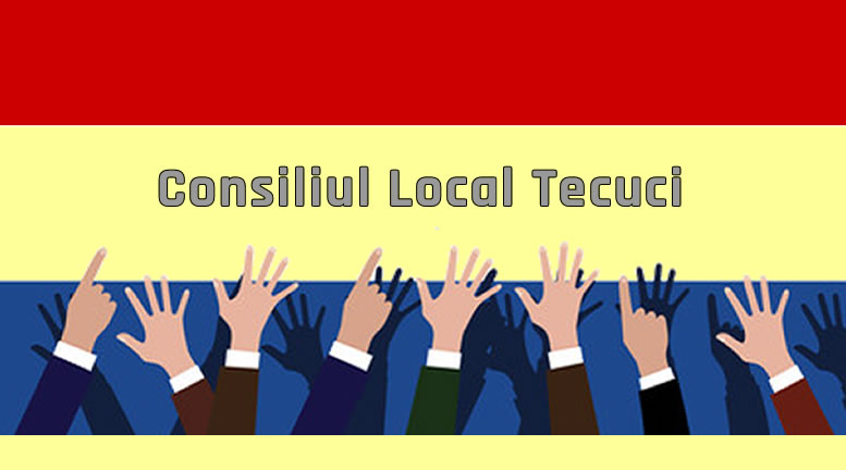 Consiliul Local Tecuci - 2017